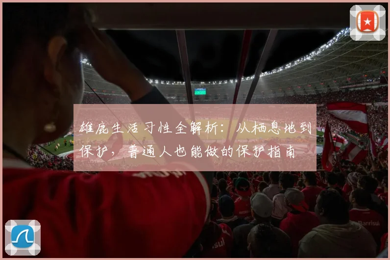 雄鹿生活习性全解析:从栖息地到保护,普通人也能做的保护指南