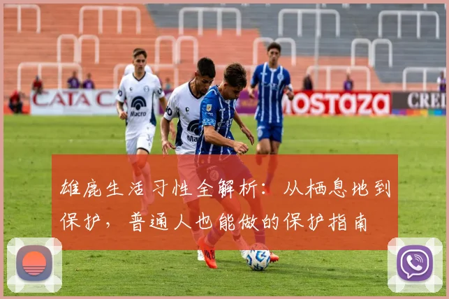 雄鹿生活习性全解析：从栖息地到保护，普通人也能做的保护指南